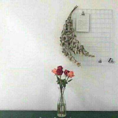 冒险的名侦探游戏